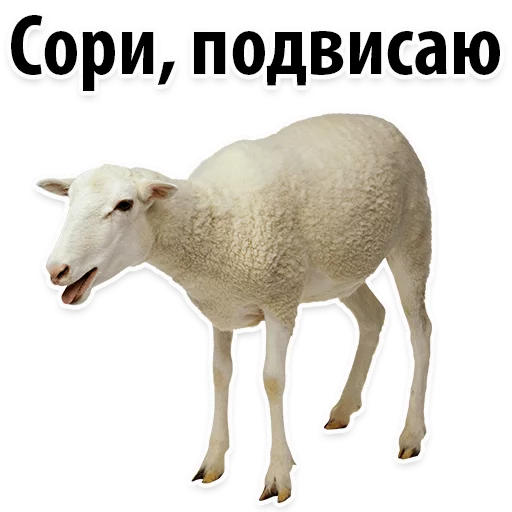 🙈 Стикер «Молодёжный сленг» для Telegram