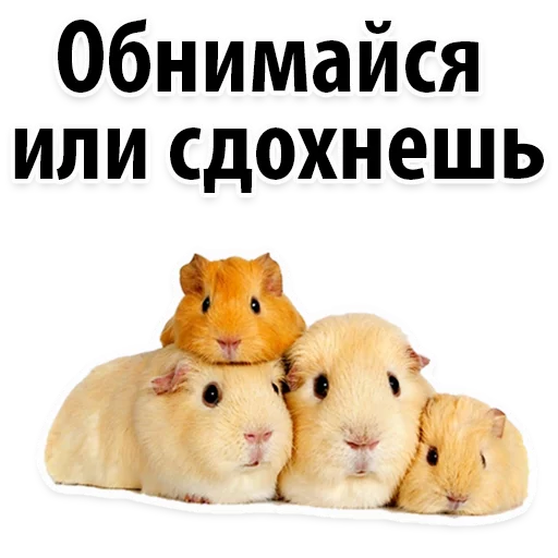 😂 Стикер «Молодёжный сленг» для Telegram