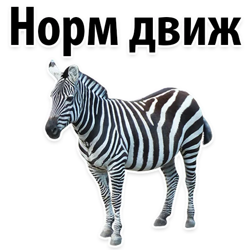 👍 Стикер «Молодёжный сленг» для Telegram
