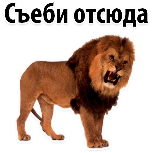 😡 Стикер «Молодёжный сленг» для Telegram