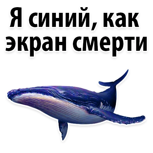😂 Стикер «Молодёжный сленг» для Telegram