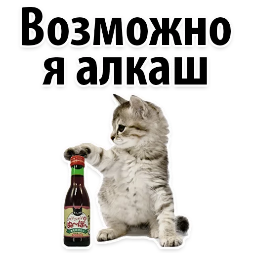 😍 Стикер «Молодёжный сленг» для Telegram