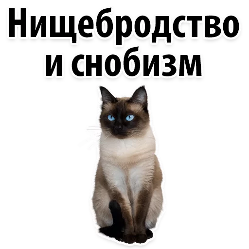 😂 Стикер «Молодёжный сленг» для Telegram