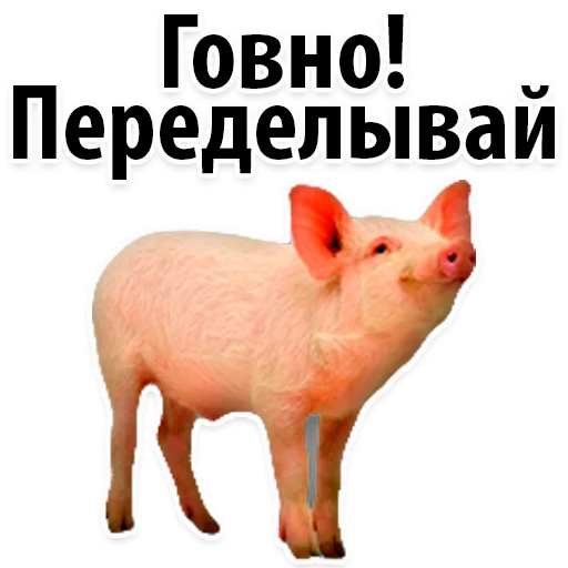 🙊 Стикер «Молодёжный сленг» для Telegram