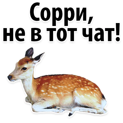😅 Стикер «Молодёжный сленг» для Telegram