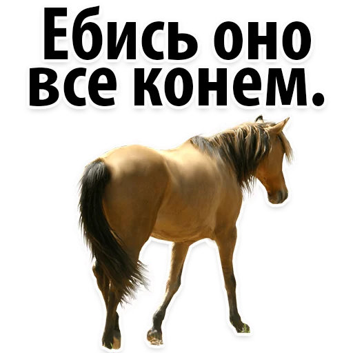 😂 Стикер «Молодёжный сленг» для Telegram