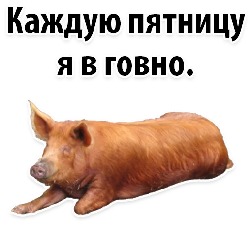 😍 Стикер «Молодёжный сленг» для Telegram