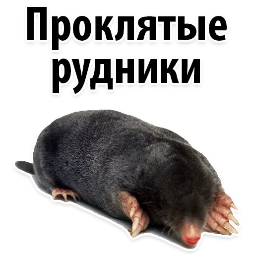 😔 Стикер «Молодёжный сленг» для Telegram