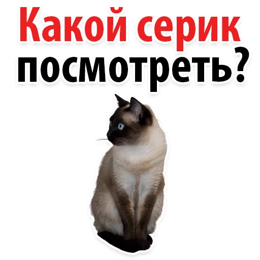😱 Стикер «Молодёжный сленг» для Telegram
