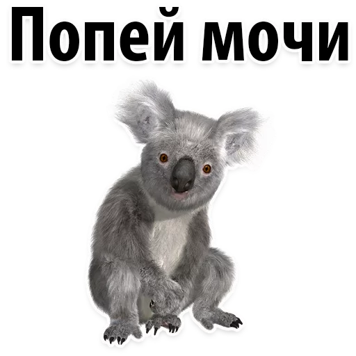 😡 Стикер «Молодёжный сленг» для Telegram