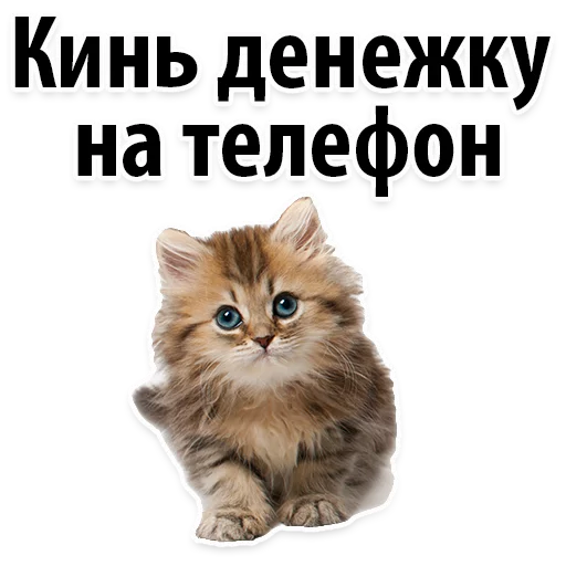 😔 Стикер «Молодёжный сленг» для Telegram