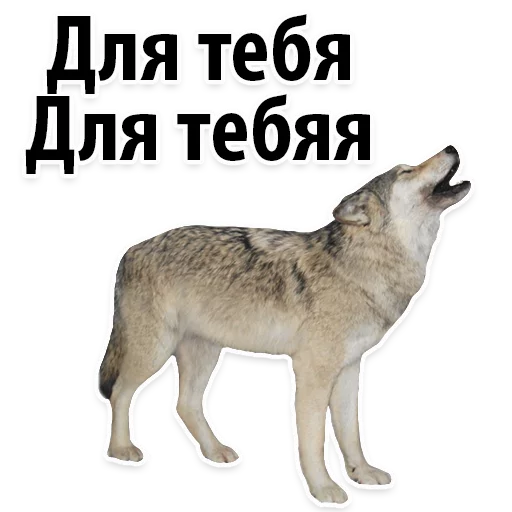 😊 Стикер «Молодёжный сленг» для Telegram