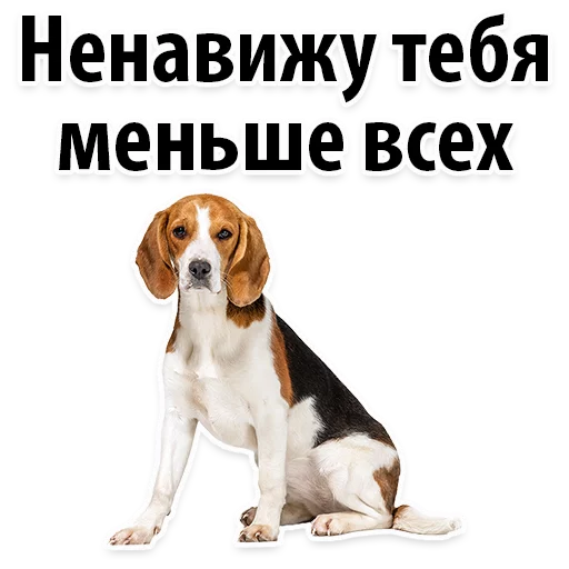 👍 Стикер «Молодёжный сленг» для Telegram