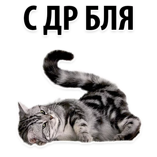 😂 Стикер «Молодёжный сленг» для Telegram