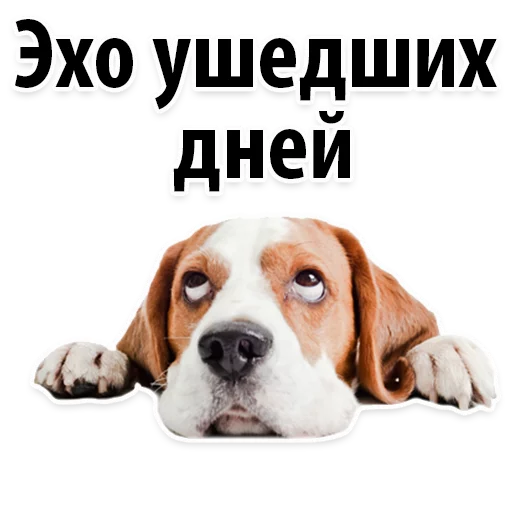 😔 Стикер «Молодёжный сленг» для Telegram
