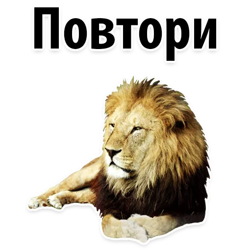 👍 Стикер «Молодёжный сленг» для Telegram
