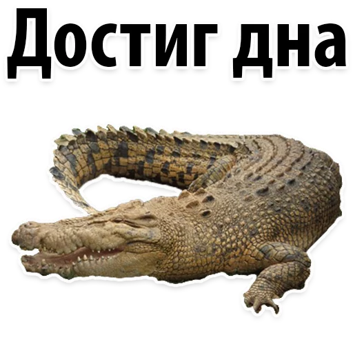 🙈 Стикер «Молодёжный сленг» для Telegram