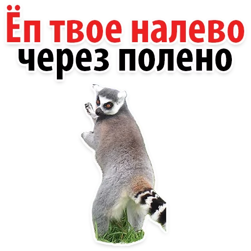 😂 Стикер «Молодёжный сленг» для Telegram