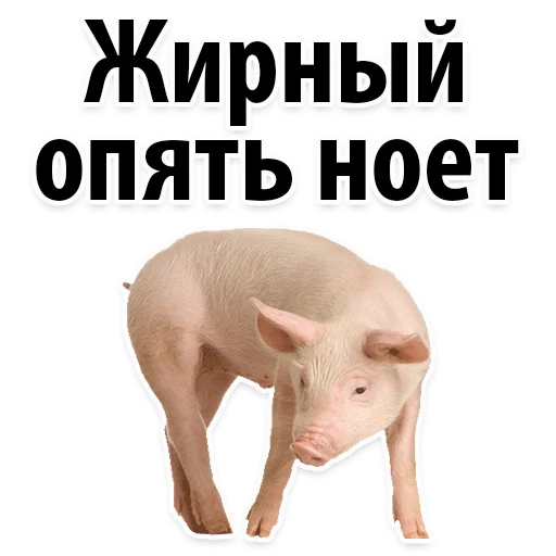 😂 Стикер «Молодёжный сленг» для Telegram