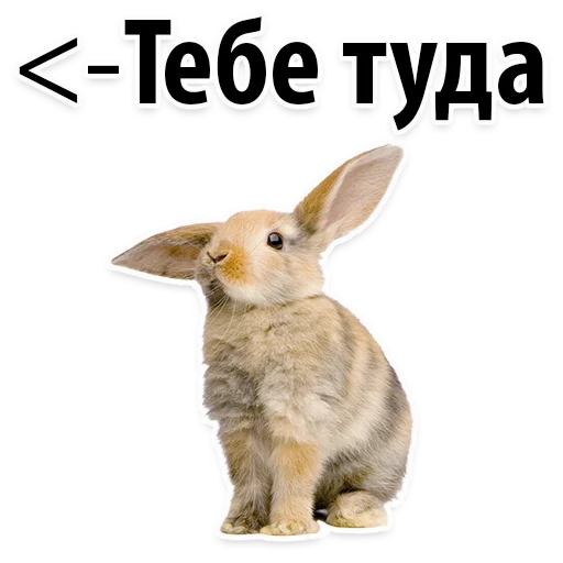😂 Стикер «Молодёжный сленг» для Telegram