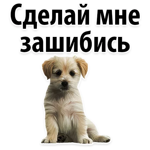 👍 Стикер «Молодёжный сленг» для Telegram