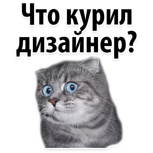 🙈 Стикер «Молодёжный сленг» для Telegram