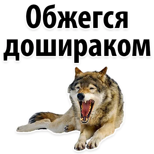 😒 Стикер «Молодёжный сленг» для Telegram