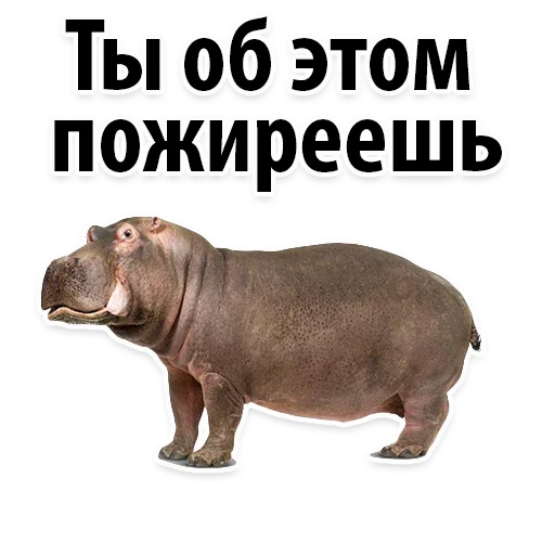 😂 Стикер «Молодёжный сленг» для Telegram
