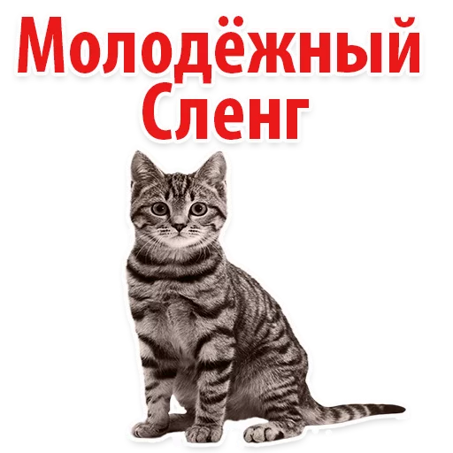 Стикерпак Молодёжный сленг для Telegram