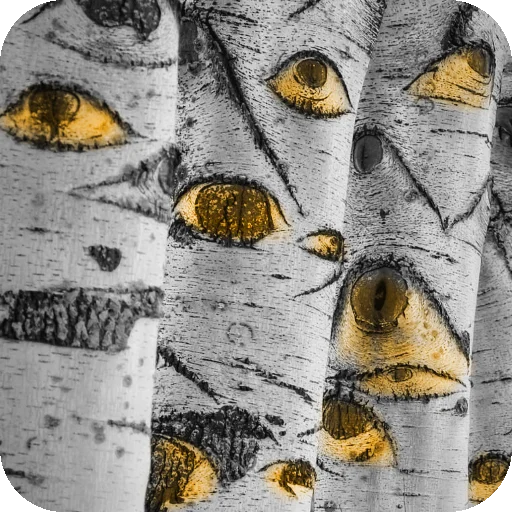 👁 Стикер «THE BILL THE MIND» для Telegram