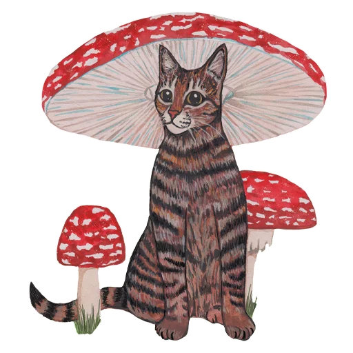 🍄 Стикер «The Bonya C» для Telegram