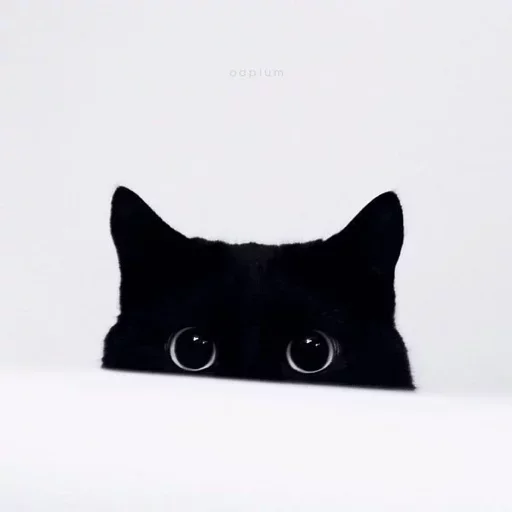 😺 Стикер «1000 и 1 це кiт» для Telegram