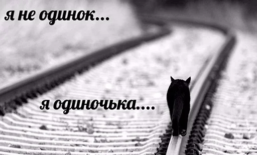 😺 Стикер «1000 и 1 це кiт» для Telegram