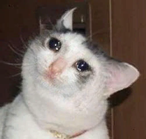 😭 Стикер «The crying cats» для Telegram