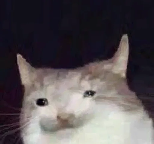 😭 Стикер «The crying cats» для Telegram