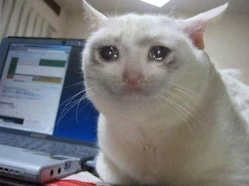 😭 Стикер «The crying cats» для Telegram