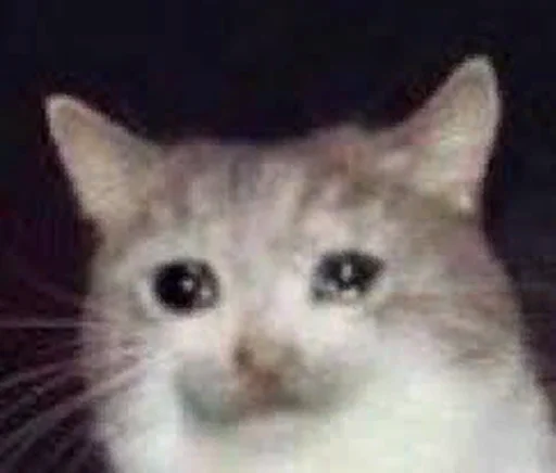 😭 Стикер «The crying cats» для Telegram
