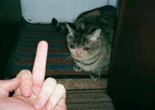 😭 Стикер «The crying cats» для Telegram