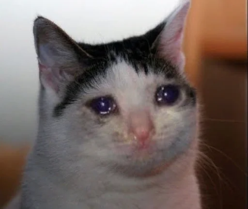 😭 Стикер «The crying cats» для Telegram