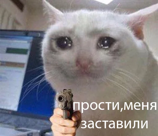 😭 Стикер «The crying cats» для Telegram