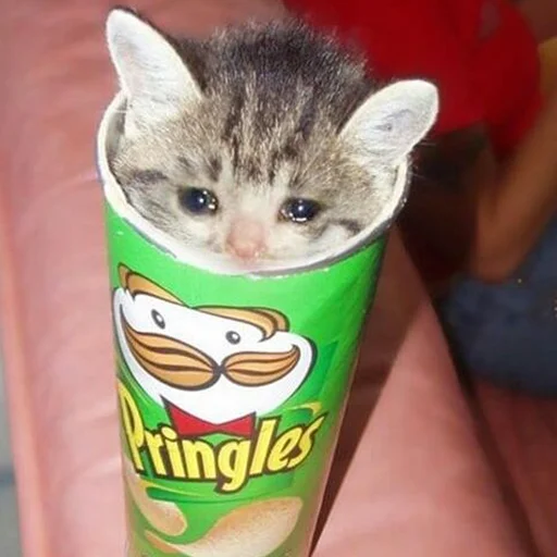 😭 Стикер «The crying cats» для Telegram