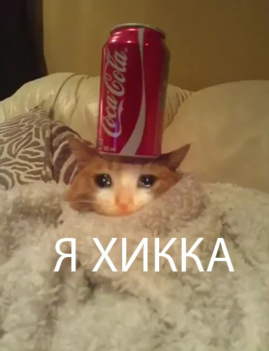 😭 Стикер «The crying cats» для Telegram