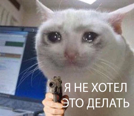 😭 Стикер «The crying cats» для Telegram