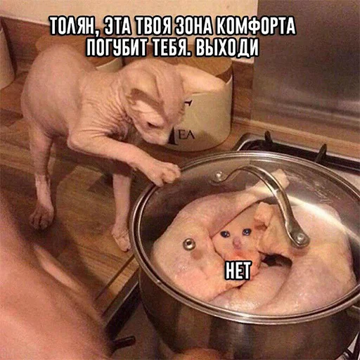 😭 Стикер «The crying cats» для Telegram