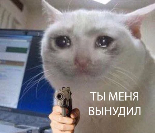 😭 Стикер «The crying cats» для Telegram