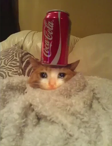 😭 Стикер «The crying cats» для Telegram