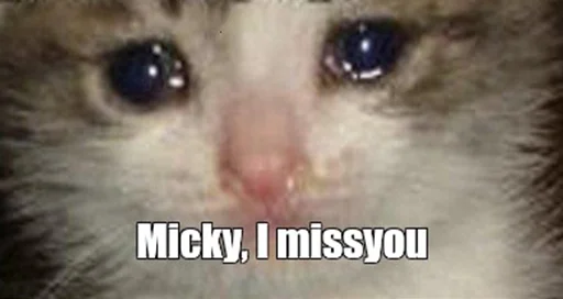 😭 Стикер «The crying cats» для Telegram