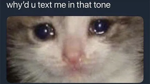 😭 Стикер «The crying cats» для Telegram