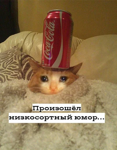 😭 Стикер «The crying cats» для Telegram