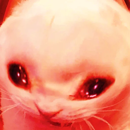 😭 Стикер «The crying cats» для Telegram